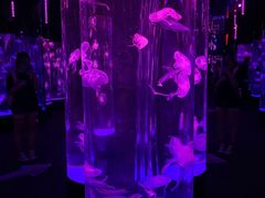 -成都浩海立方海洋公园