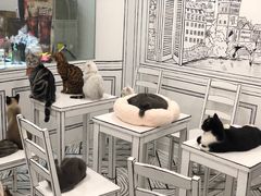 -白夜2D咖啡馆