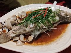 -东馆和天下特色餐饮(工农店)