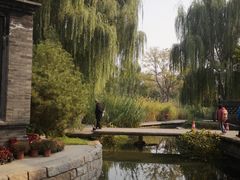 -春风习习