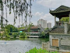 -荔湾湖公园
