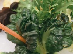 -百草滩羊清水涮羊肉(长城路店)