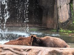 -海南热带野生动植物园