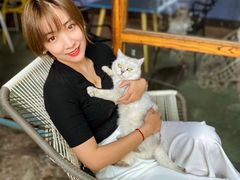 -喵屿·大理花园猫咖