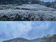 -云栖竹径