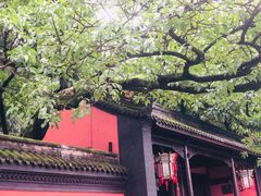 -成都武侯祠博物馆