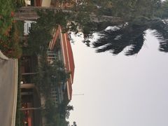-三亚亚龙湾金棕榈度假酒店