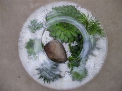 -荷兰布尔玛国际花艺学院