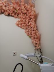 -VE专注问题肌·赛诺龙&科学美肤中心