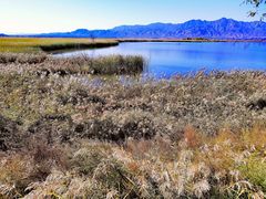 -野鸭湖国家湿地公园