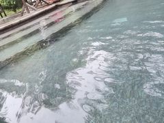 -福州贵安·温泉世界