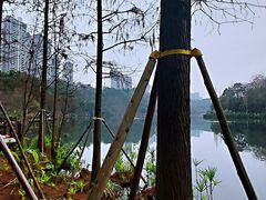 -重庆彩云湖湿地公园