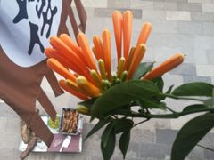 -香满楼(临安路店)