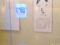 -广东中医药博物馆