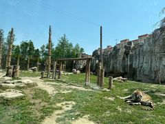 -上海野生动物园