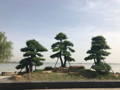 -南湖国家城市湿地公园