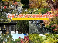 -石老人观光园