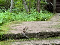 -汤旺河林海奇石景区