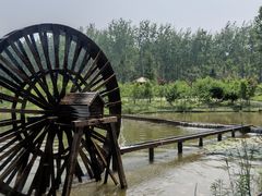 -合肥滨湖国家森林公园