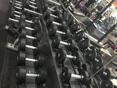 -健身专家Wellness Experts