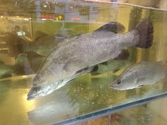 -兴旺海鲜砂煲王