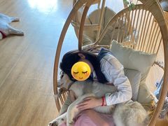 -Husky Go! 哈士奇体验馆·宠物咖啡厅狗咖