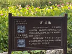 -莲湖公园