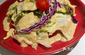 Colorful Oil Vinegar Salad