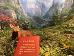 -台州博物馆