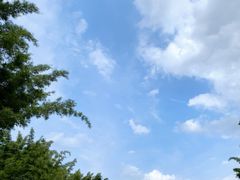 -黄埔油麻山森林公园