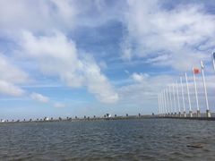 -碧海金沙