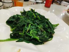 -三亚亚龙湾瑞吉度假酒店