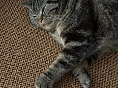 -优衣库(上海金桥国际商业广场店)