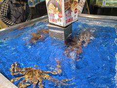 -盒马鲜生(莱蒙都会店)