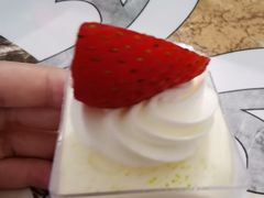 -维尔纳斯·生日蛋糕·动物奶油冰淇淋蛋糕(雨花店)