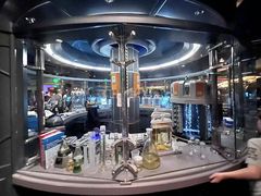 -奥兰多迪士尼动物王国乐园