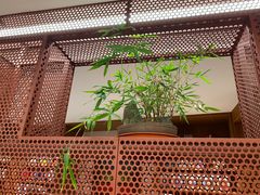 -二酉书店TOYOU BOOKS