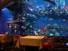 -迪拜帆船酒店海底餐厅