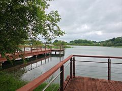 -贡湖湾湿地公园