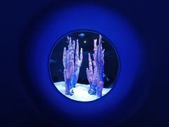 -欢乐海岸海洋奇梦馆