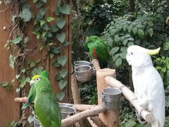 -南宫温泉水世界