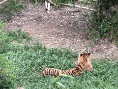 -泉州海丝野生动物世界