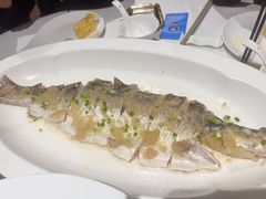 -顺峰(农展馆店)