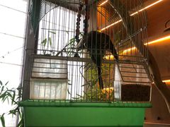 -湖里春风·淮扬菜(丽泽天街店)
