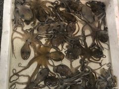 -西门岛码头海鲜馆