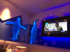 -米乐星世界KTV