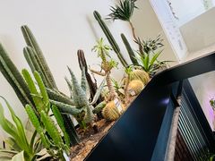 -J Create城市露营咖啡·简餐·宠物(上海动物园店)