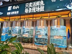 -老船舫·现做活鲜鱼馆(东郊记忆店)