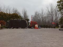 -合肥滨湖国家森林公园