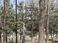 -楊家一锅(沙阳路店)